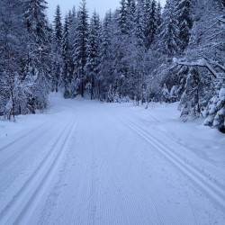 Nordmarka 2015