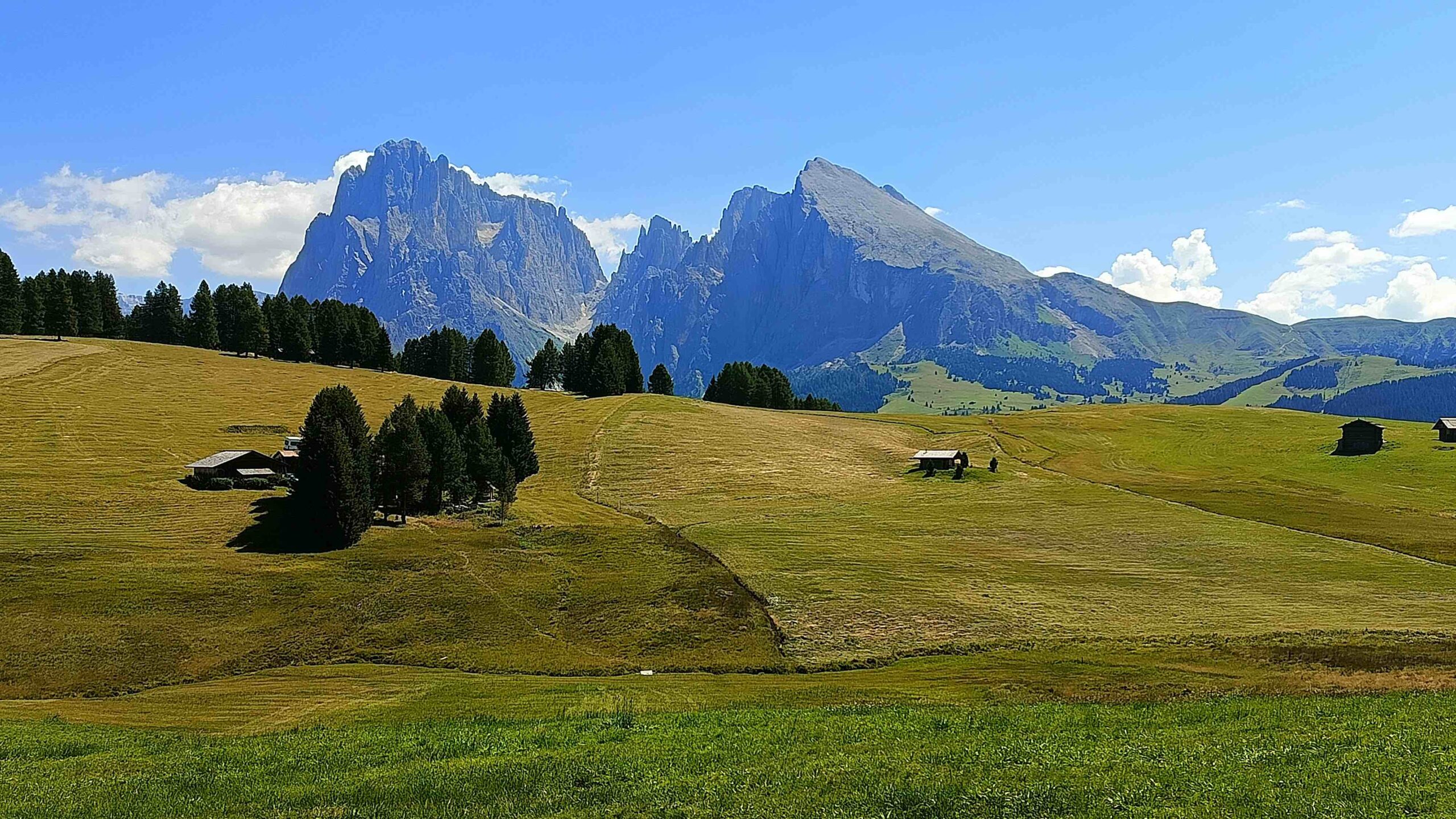 Syklister over Alpe di Siusi — Europas største høyfjellsplatå
