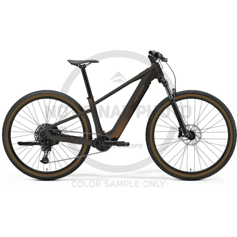 Merida eBig.Nine 300 (Metallic Black (Red))